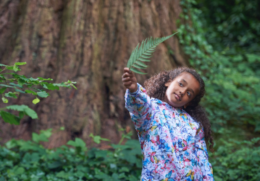 Primary school student holding a leaf in a forest.