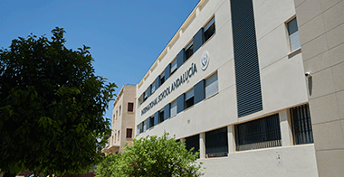 International School Andalucía